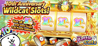 Multi-Sport Coverage